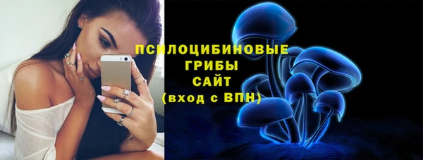 2c-b Верхний Тагил