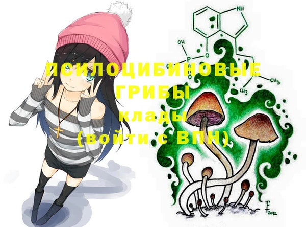 винт Бородино